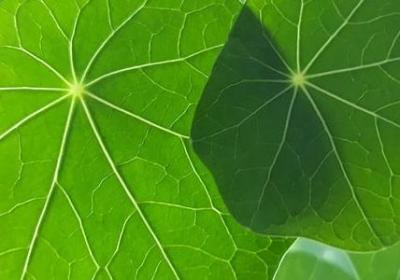 下棋感悟的句子(优选15句)