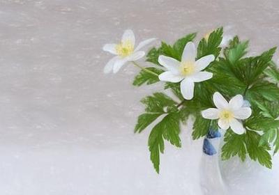 脚丫造句 脚丫的句子有那些(热门54句)