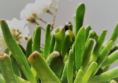 与阅读有关的唯美句子(通用10句)
