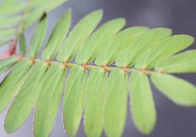 七秒记忆的鱼唯美句子(通用20句)