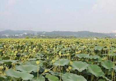 一腔孤勇唯美句子(通用30句)