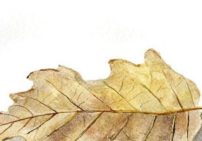 减肥口号顺口溜句子(推荐50句)