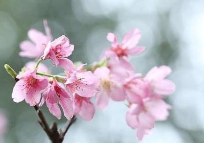 仿佛就在昨天的句子(通用50句)
