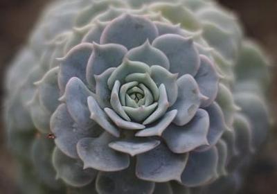 体育励志的句子(推荐50句)