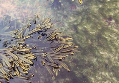 分析英语句子(推荐60句)