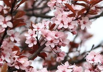 续写造句 有关续写的句子有那些(必备53句)