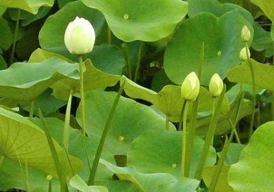 仇恨一个人的句子(推荐50句)