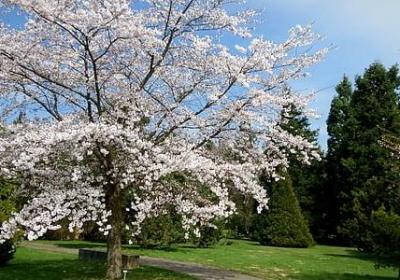 婚姻责任与担当的句子(热门50句)