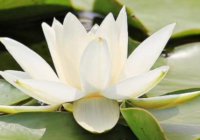 吐槽别人的搞笑句子(通用50句)