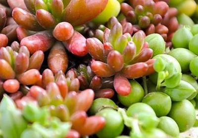 小憩片刻的句子(热门50句)