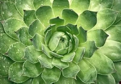 周末聚餐的句子(优选15句)