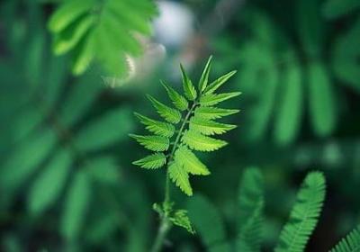 吃亏后长记性的句子(优选50句)