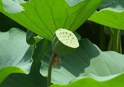 宣传正能量的句子(优选30句)