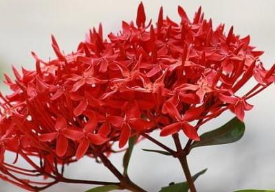 带轩的优美的句子(实用45句)