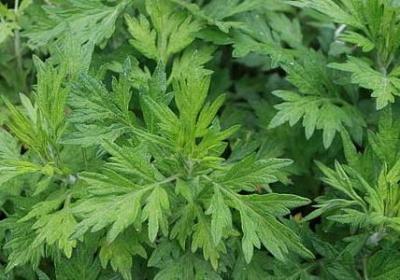 发泄抱怨的句子(合集20句)