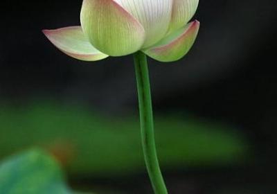 坐滑滑梯句子(50句)