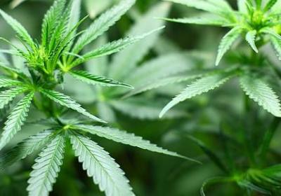 愤怒的想杀人的句子(汇总30句)