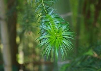 抒发郁闷心情的句子(精选15句)