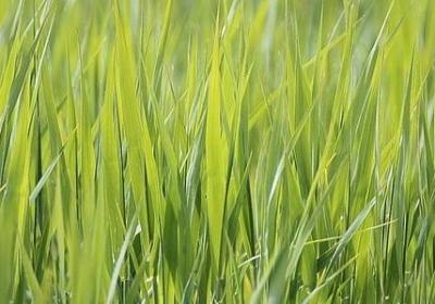恰似写一个句子(热门50句)