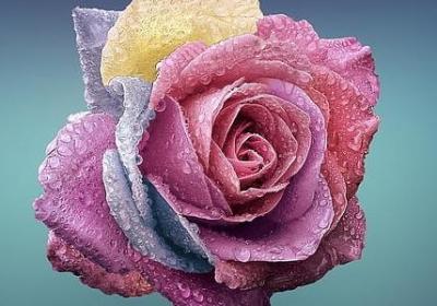 树杈造句 用树杈组相关的句子(汇总72句)