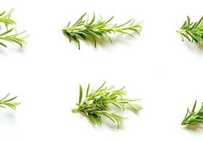怀孕难受的句子(汇总50句)