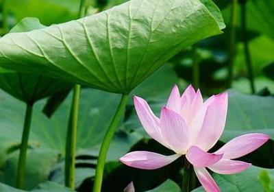 整装造句 整装可以组的句子有那些