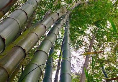 患得患失的爱情句子(优选50句)