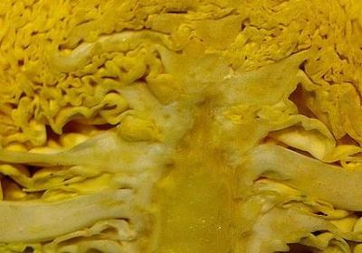 心存感恩的句子(实用30句)