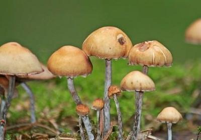 悼念刚逝去朋友的句子(必备50句)