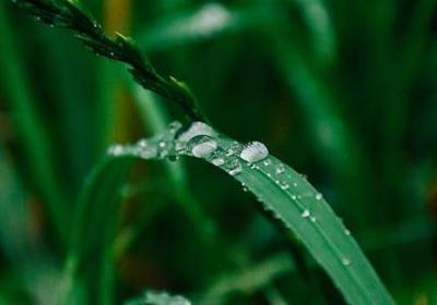 抖音离别的句子(优选10句)