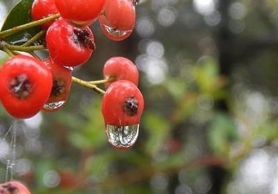 柴米油盐的爱情句子(合集10句)
