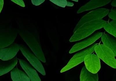 登高望远的句子(优选50句)