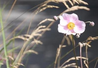 甜蜜幸福的句子英文(实用41句)