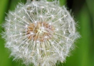 朝花夕拾后记句子赏析(合集10句)