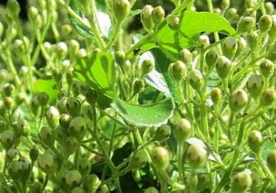 留下来才是最好的句子(推荐20句)