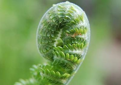 独立句子说说心情说说(优选25句)