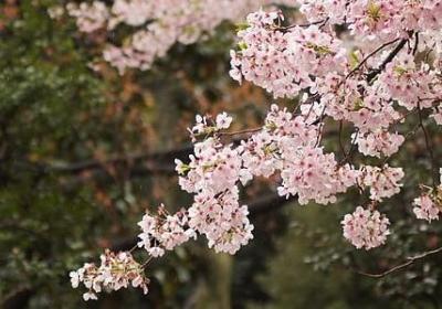 有因必有果的哲理句子(实用50句)