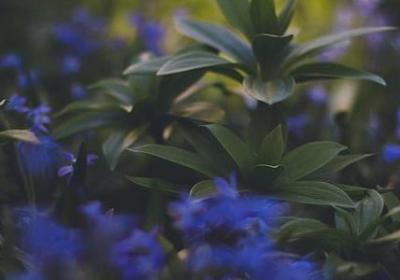 无聊搞笑的句子(推荐20句)