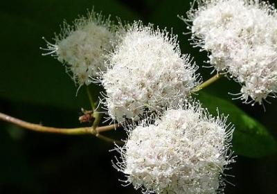 沙漠带给人心情的句子(推荐50句)