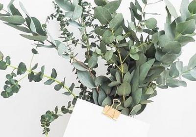 沙家浜优美句子(实用10句)