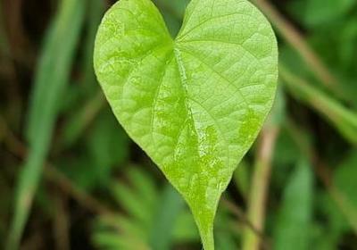 耐心的句子励志的(共60句)