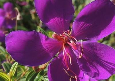 缩写句子的例子(50句)