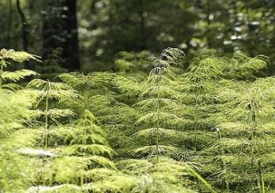 自己没那么重要的句子(推荐50句)