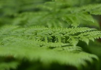 网络的弊端英语句子(通用20句)
