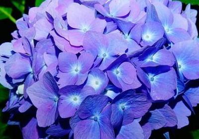 祝办事的人顺利的句子(精选50句)
