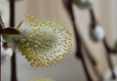 色达最经典的句子(推荐10句)