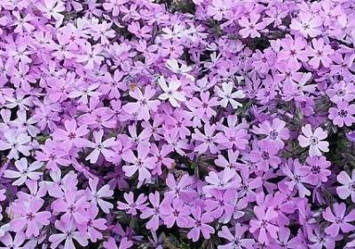 5月领导激励句子(推荐10句)