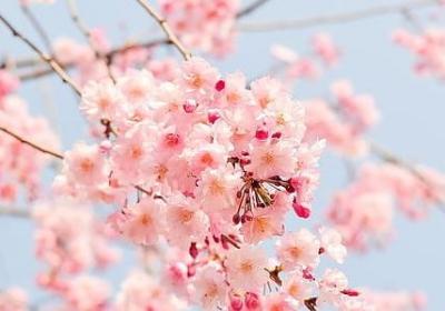 消散造句 消散相关的句子有那些(共80句)