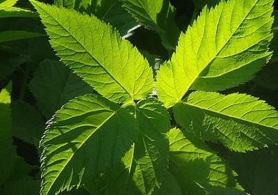等客户的句子(通用27句)