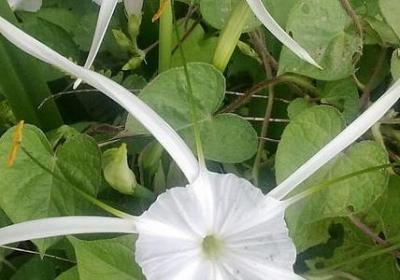 豪放洒脱的句子(推荐50句)